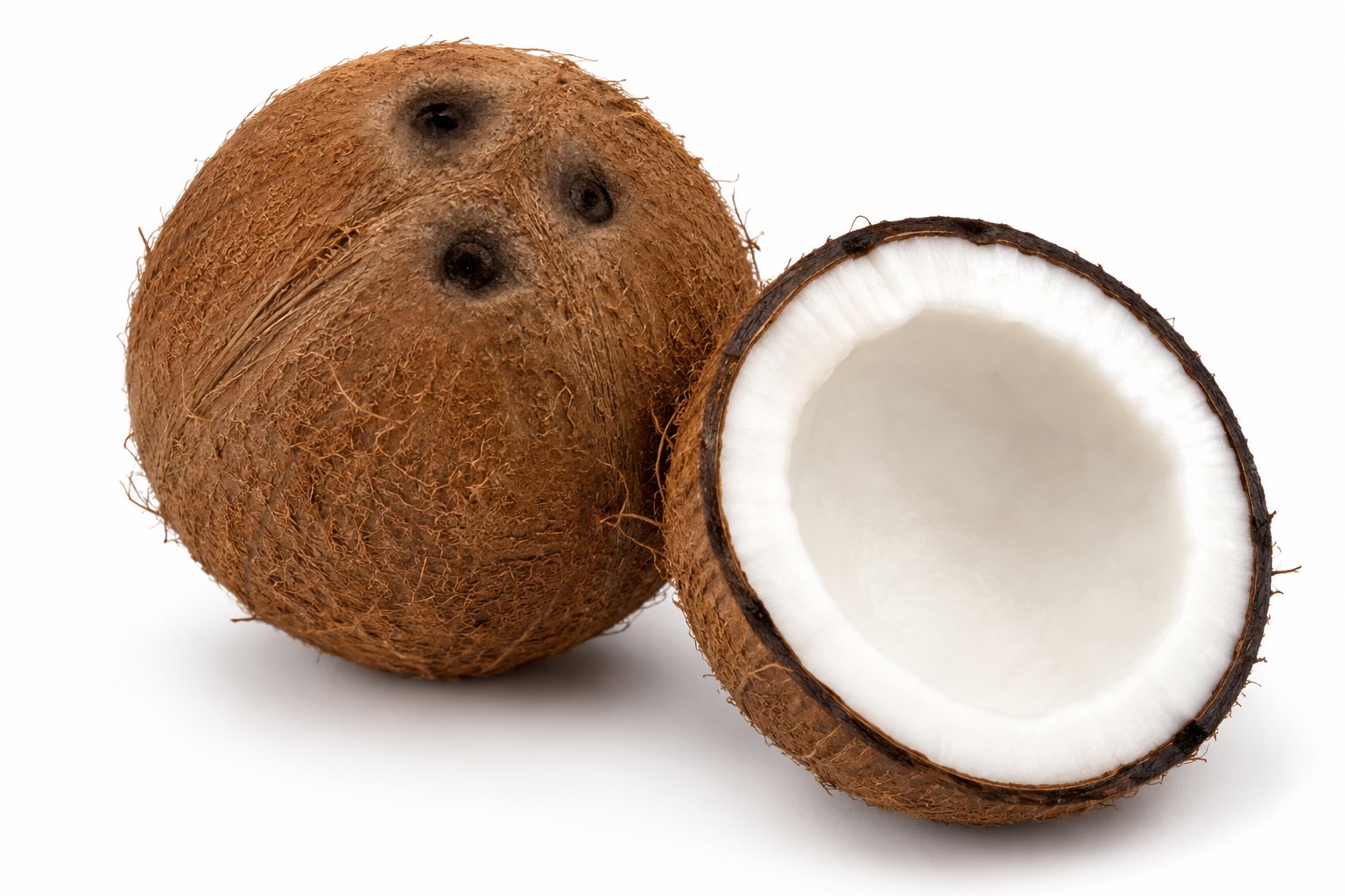 A whole brown coconut beside one split open, showing the thick white flesh inside